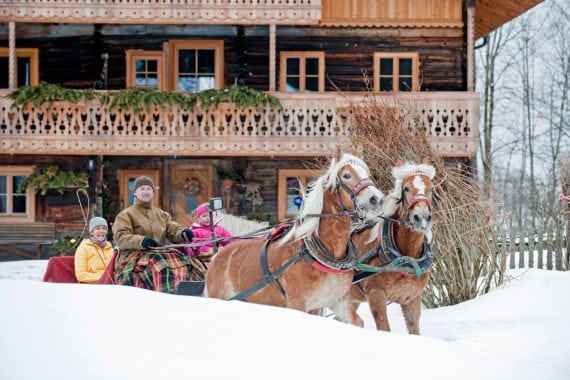 Pferdeschlittenfahrten – Ferienwohnungen Eckart in Altenmarkt-Zauchensee