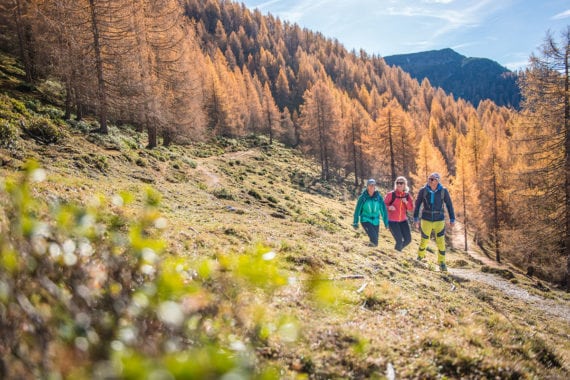 Wandern – Ferienwohnungen Eckart in Altenmarkt-Zauchensee