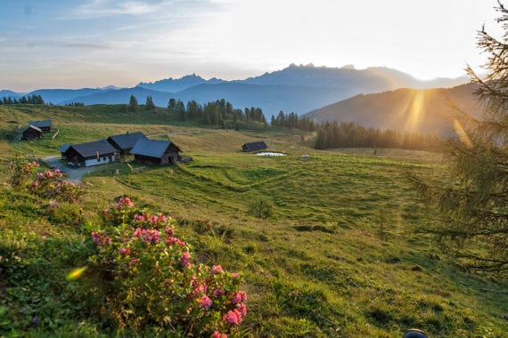 Wandern – Ferienwohnungen Eckart in Altenmarkt-Zauchensee